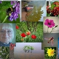 Фото Людмила Кирсанова
