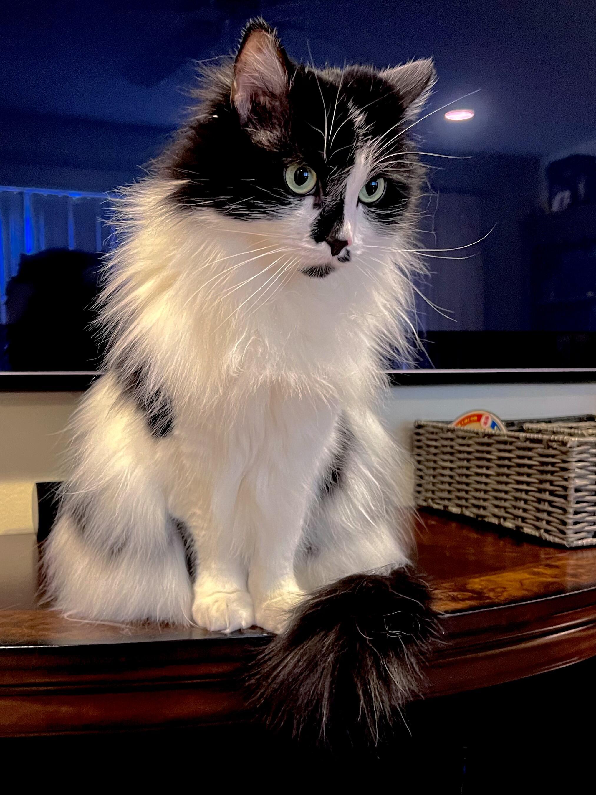 В темной-темной комнате