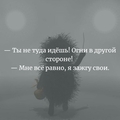 Поэт Елена Кулакова, стихи которого вы можете прочитать в поэтической социальной сети Поэмбук.