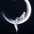 Moonlight