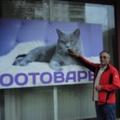 Поэт Владимир Широков, стихи которого вы можете прочитать в поэтической социальной сети Поэмбук.