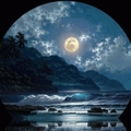 Поэт Лунный свет, стихи которого вы можете прочитать в поэтической социальной сети Поэмбук.