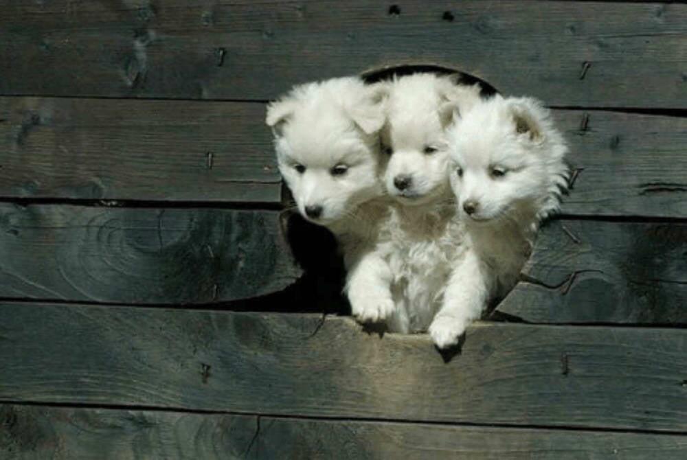 Не знаю, зачем я всё это пишу, всё равно все сами себе гении