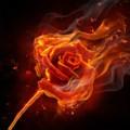 Sonusha
